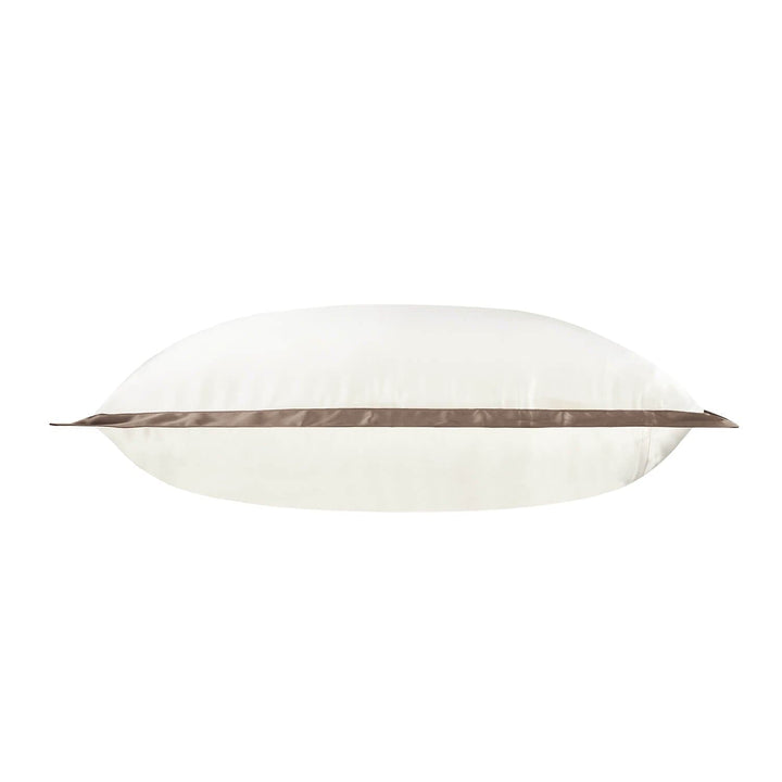 DISANGNI 22 Momme Mulberry Silk Pillowcase – Double-Sided Color Block, Envelope Closure
