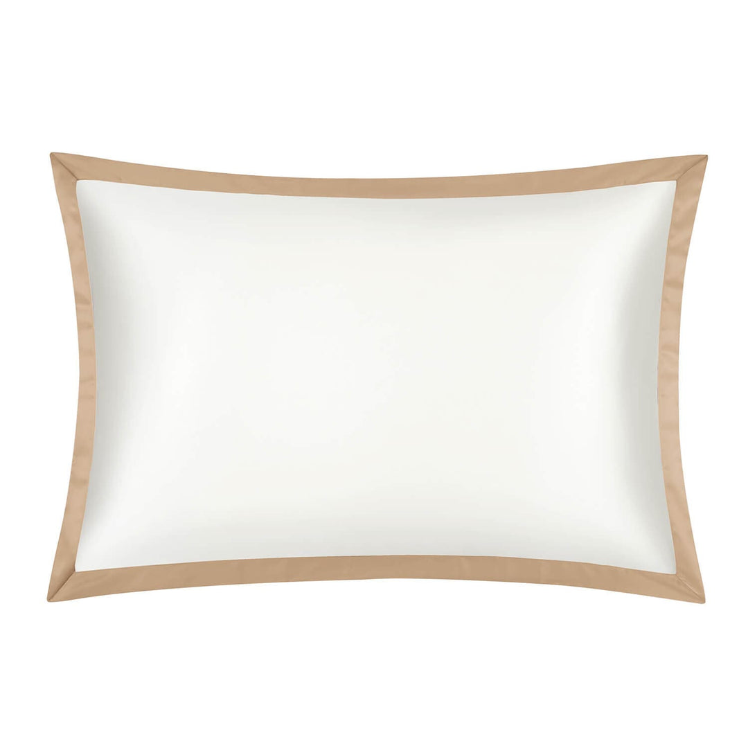 DISANGNI 22 Momme Mulberry Silk Pillowcase – Double-Sided Color Block, Envelope Closure